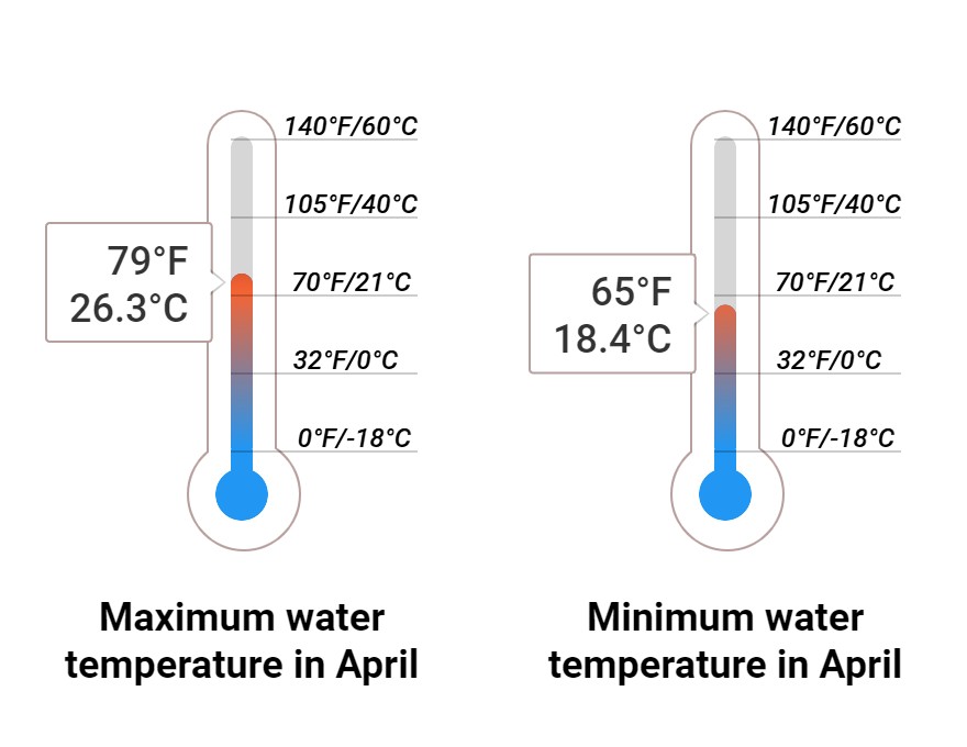 Average Sea temperature